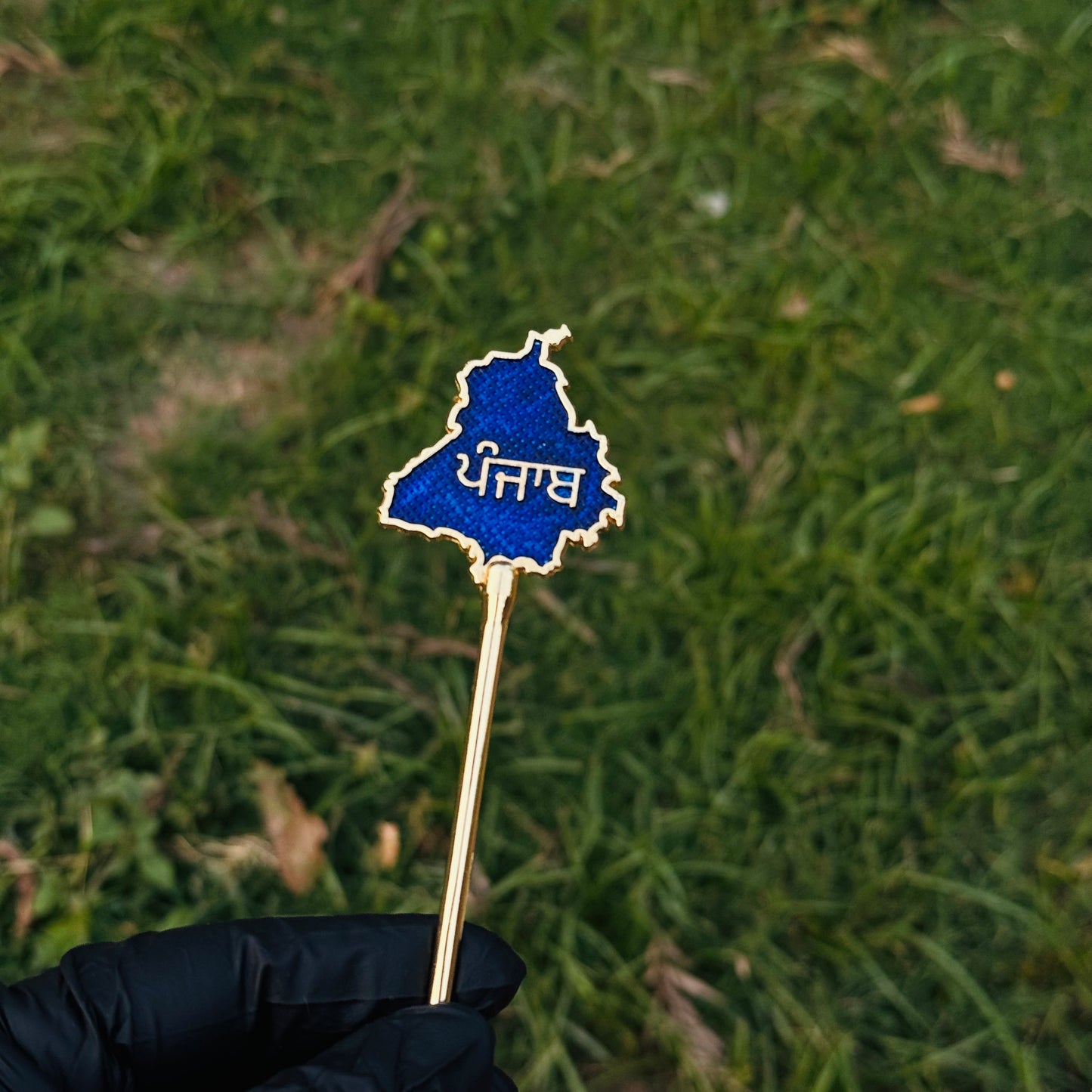 Hair Baaz - Punjab Map (BLUE) - Pack of 2pcs