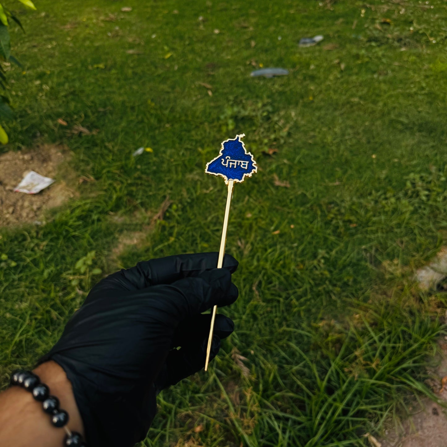 Hair Baaz - Punjab Map (BLUE) - Pack of 2pcs