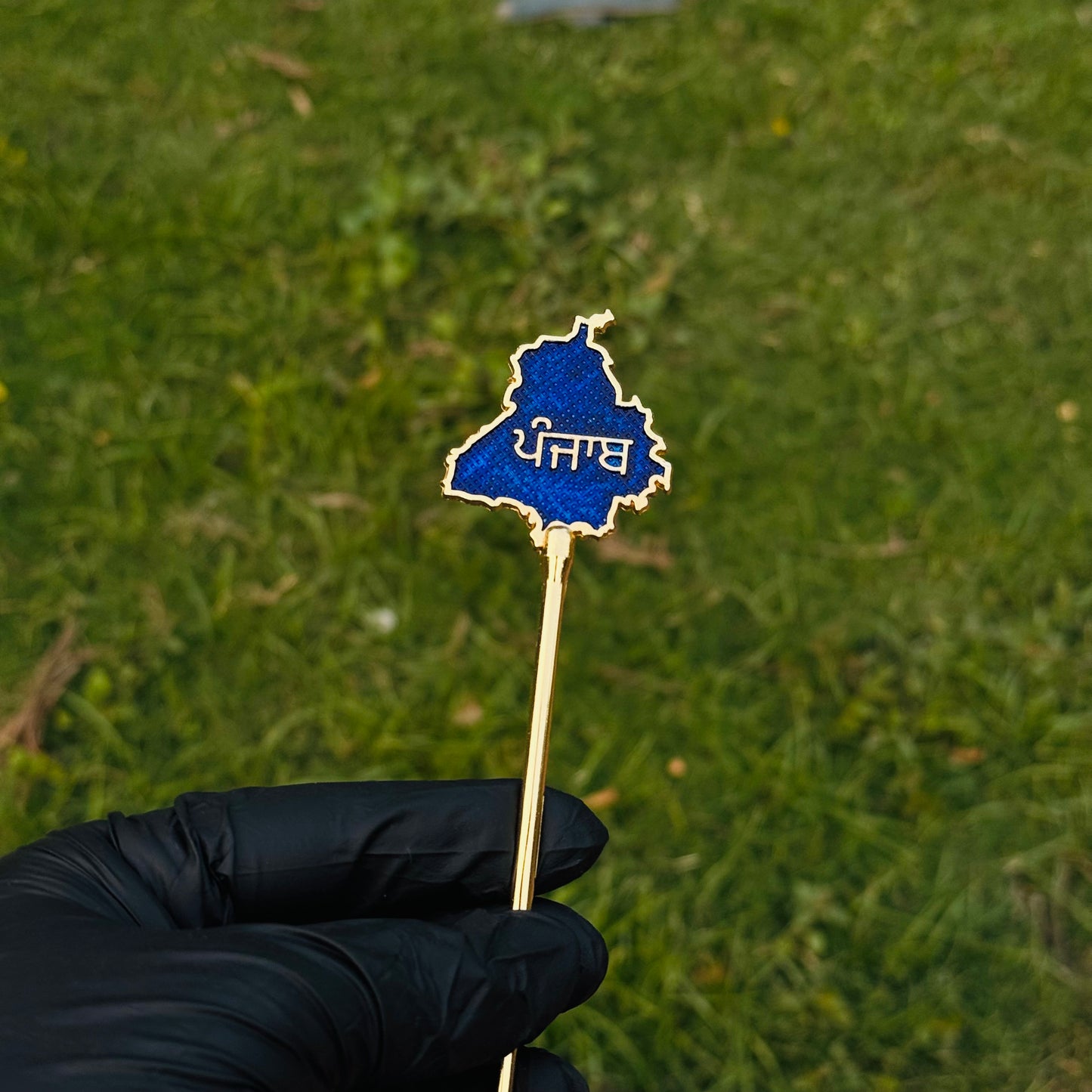 Hair Baaz - Punjab Map (BLUE) - Pack of 2pcs